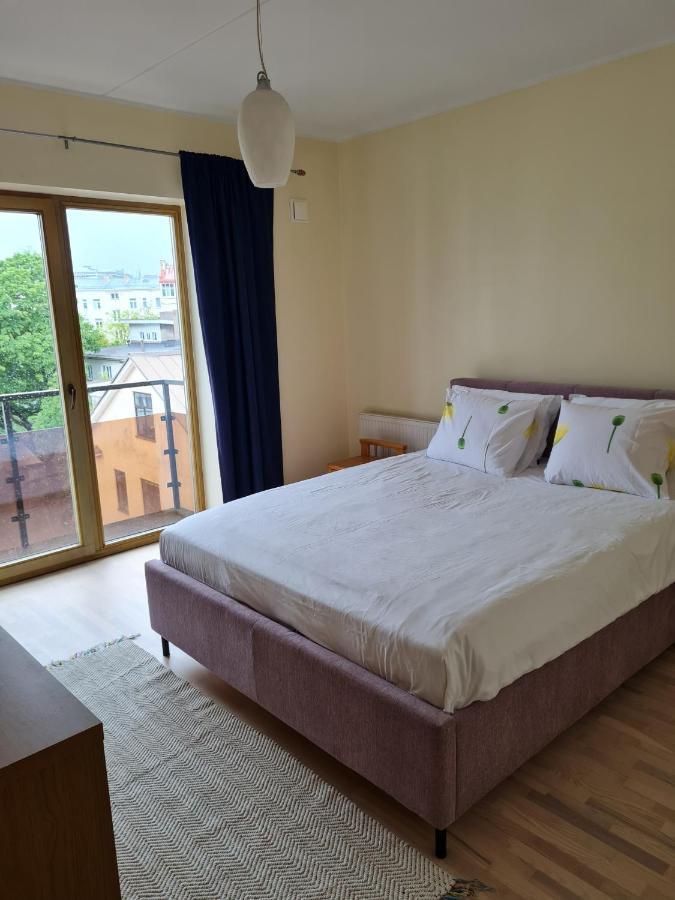 Cozy One Bedroom Apartment In City Center Tallinn Dış mekan fotoğraf